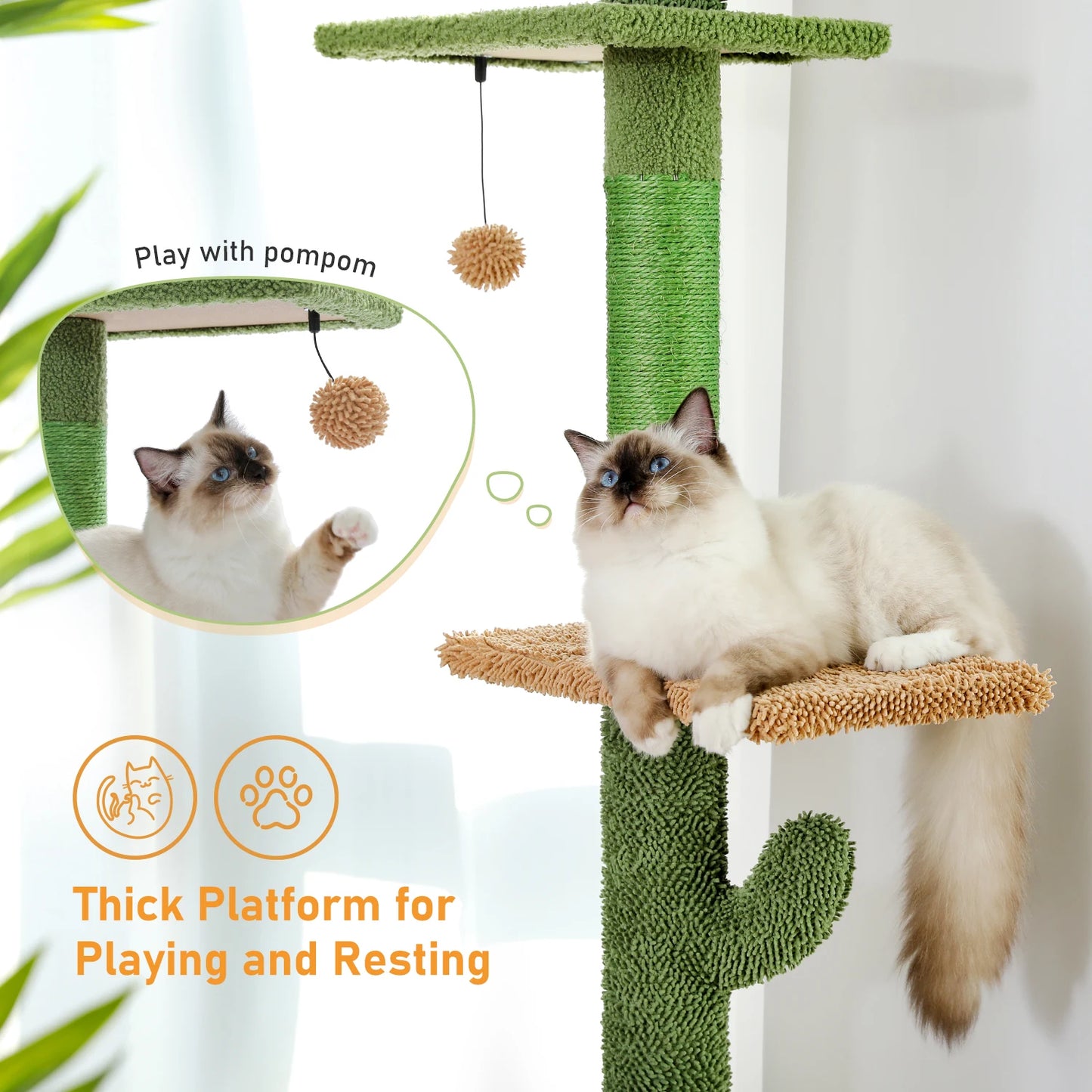 PAWZ Road Cat Tree Five Tier Floor to Ceiling Climbing